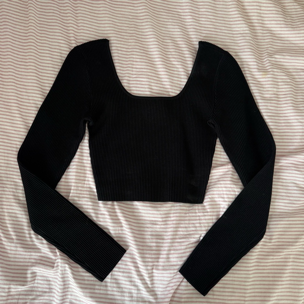Aritzia Babaton Long Sleeve